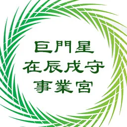 巨门星在辰戌守事业宫，太阳星在子午守命宫