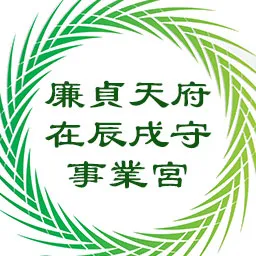 廉贞天府在辰戌守事业宫，紫微星在子午守命宫