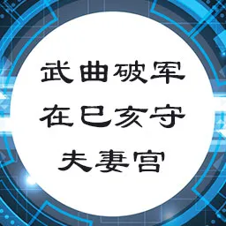 武曲破军在巳亥守夫妻宫，天府星坐丑未守命宫