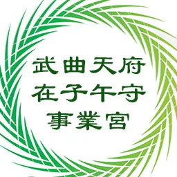 武曲天府在子午守事业宫，廉贞星在寅申守命宫