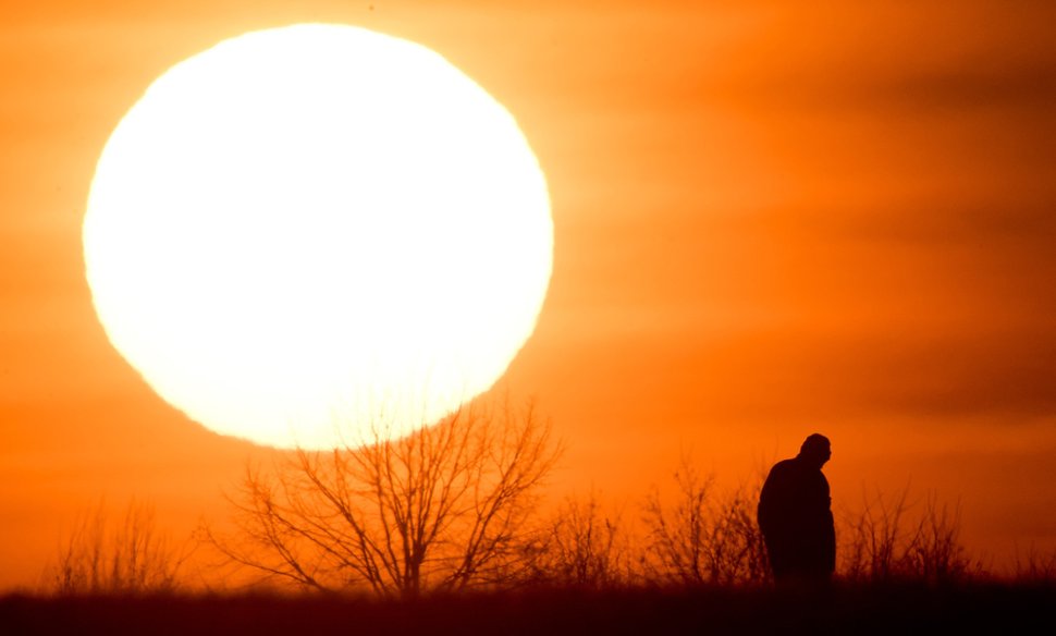 太阳星坐命宫的重点补充